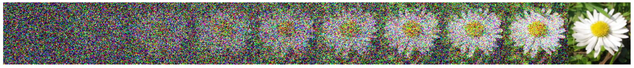 A continuous deformation of Gaussian noise into an image of a flower.